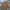 Luxury Minimalist Harrington jacket Pria tan brown photo 1