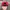 Obey Streetwear Skater Hat Pria red photo 7