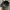 Vintage Streetwear Hat Pria black photo 5