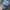 Disney Vintage Y2K Hat Wanita blue photo 3