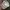 Disney Vintage Y2K Hat Pria tan cream photo 5