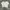 H&M Casual T-shirt Wanita white photo 1