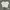 H&M Casual T-shirt Wanita White