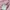 Vivienne Westwood Casual Polo shirt Pria pink photo 7