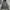 Nike Sportswear Minimalist Fleece Wanita gray photo 2