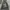 Nike Sportswear Minimalist Fleece Wanita gray photo 5