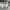Adidas Sportswear Fleece Pria gray photo 6
