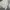 Adidas Sportswear Fleece Pria gray photo 4