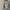 Nike Streetwear Casual Sneakers Wanita multicolor white photo 5