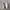 Nike Streetwear Casual Sneakers Wanita multicolor white photo 2