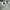 Adidas Sportswear Minimalist Fleece Pria gray photo 5