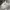 Muah Muah Sportswear Minimalist Fleece Pria white photo 1