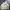 Muah Muah Sportswear Minimalist Fleece Pria white photo 3