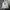 Kappa Sportswear Fleece Pria white photo 1