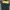 Eiger Sportswear Puffer jacket Pria multicolor photo 3