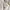have a good time Skater Hoody Pria white photo 4