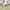 have a good time Skater Hoody Pria white photo 5