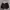 MUSINSA STANDARD Streetwear Casual Puffer jacket Pria black photo 1