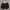 MUSINSA STANDARD Streetwear Casual Puffer Jacket Pria Black