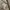 MaxMara Minimalist Casual Windbreaker Pria tan photo 7