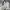 Yonex Sportswear Windbreaker Pria white photo 1