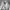 Adidas Sportswear Bomber jacket Pria white photo 1