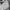 Adidas Sportswear Bomber jacket Pria white photo 4