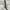 Nike ACG Streetwear Gorpcore Short Pria cream photo 3