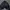Crocodile Casual Harrington jacket Pria gray photo 1