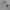 Russell Athletic Streetwear Y2K Hoody Pria gray photo 4