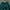 Nike Luxury Sportswear Windbreaker Pria green photo 1
