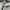 Lafudge Y2K Formal shirt Pria gray photo 6
