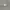 Lafudge Y2K Formal shirt Pria gray photo 4