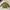 Earth, Music & Ecology Vintage Avant Garde Bomber jacket Pria gold khaki photo 5