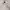 Japanese brand Grunge Avant Garde Hoody Pria white gray photo 5