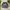 Juicy Couture Luxury Avant Garde Sweatshirt Wanita gray photo 2