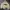Badboy Vintage Streetwear Hoody Pria tan cream photo 5
