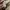 Badboy Vintage Streetwear Hoody Pria tan cream photo 4