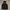Dickies Streetwear Windbreaker Pria black photo 1