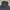 Dickies Streetwear Windbreaker Pria black photo 5