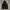Dickies Streetwear Windbreaker Pria black photo 2