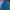Salomon Gorpcore Windbreaker Pria blue photo 2