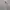 Yohji Yamamoto Minimalist Casual Casual shirt Pria white photo 2