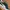 Puma Streetwear Sneakers Wanita green photo 3