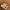Puma Streetwear Sneakers Pria cream photo 5