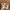Puma Streetwear Sneakers Pria cream photo 6