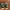 Puma Streetwear Sneakers Pria green photo 6