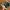 Puma Streetwear Sneakers Pria green photo 2