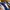 Puma Streetwear Sneakers Pria blue photo 2
