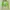 Cosplay Shirt Wanita green photo 3